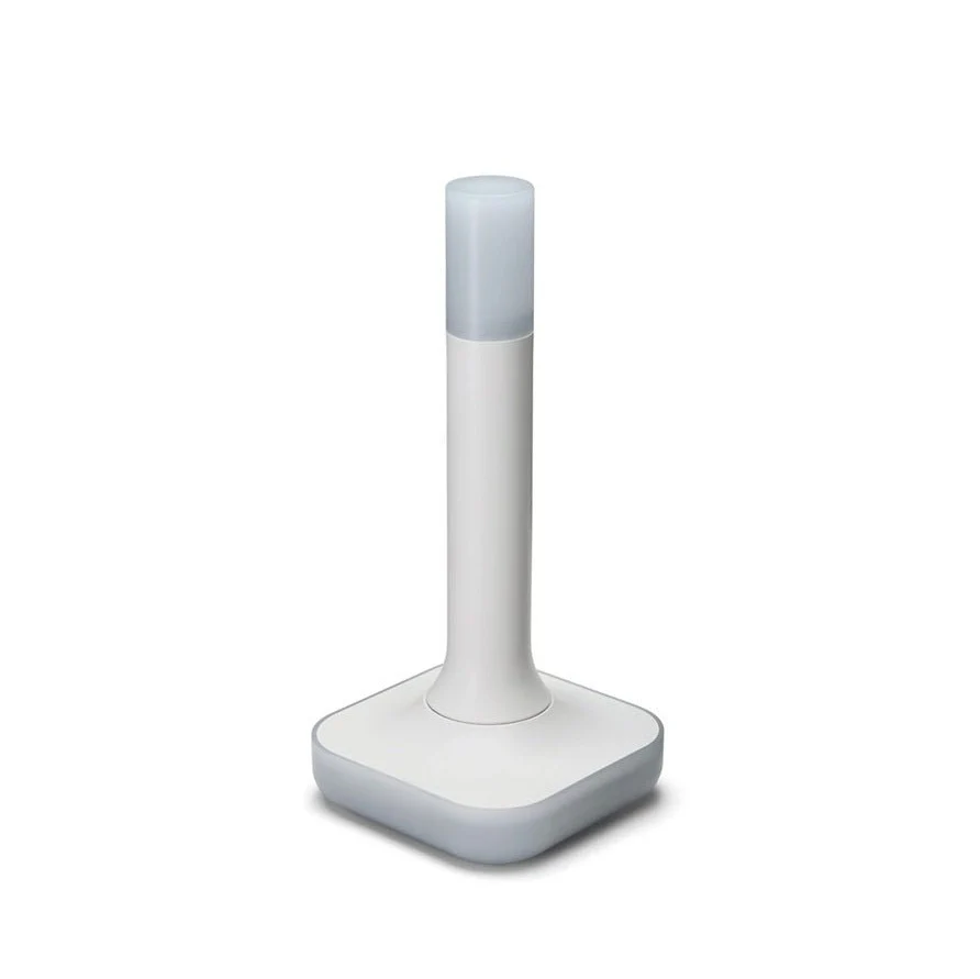 Miniatuur 2